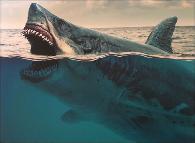 Megalodon